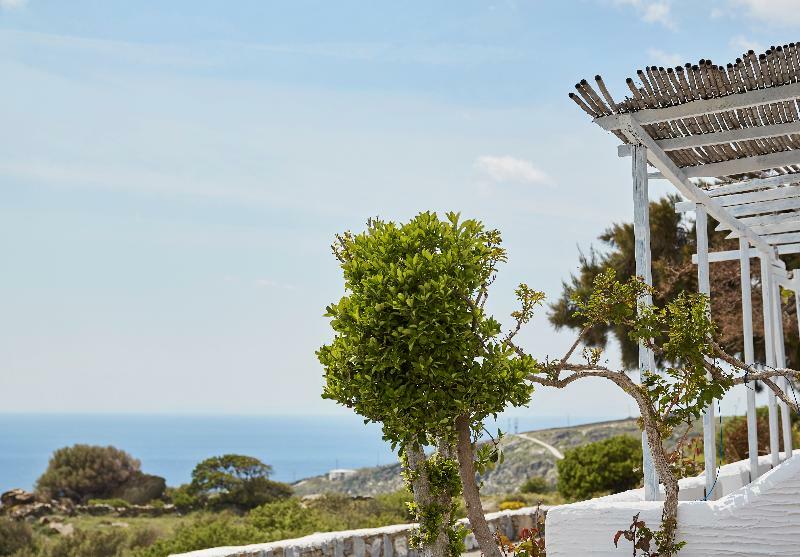 Agnanti Andros Hotel